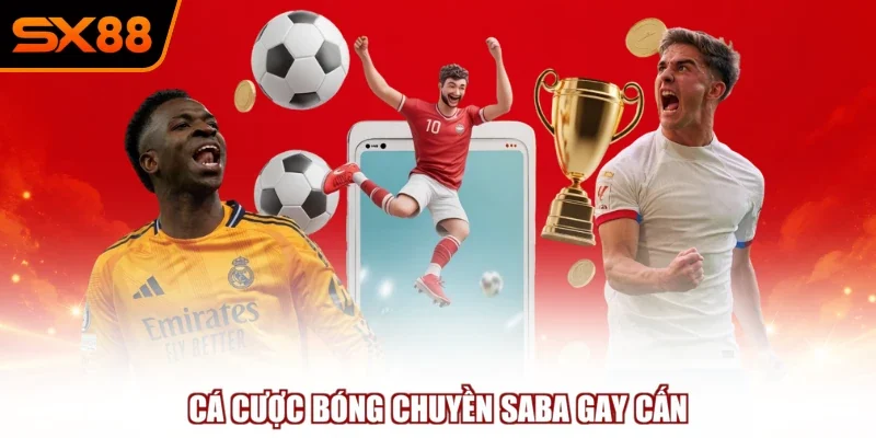 ca cuoc bong chuyen saba gay can Cá cược bóng chuyền SABA gay cấn